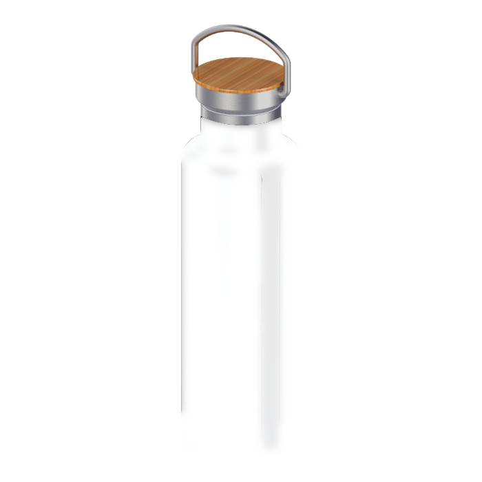 20oz Canteen Stainless Steel Artic Bottle