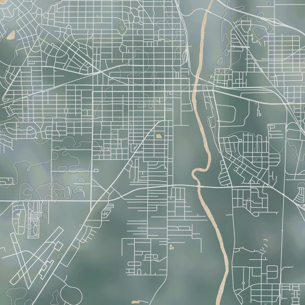 ALBANY Georgia Map Print in Afternoon Style Zoomed In Close Up Showing Details