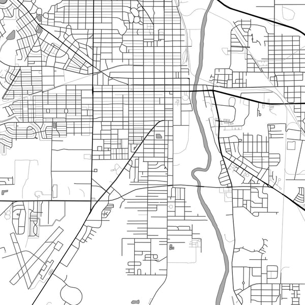 Albany Georgia Map Print in Classic Style Zoomed In Close Up Showing Details