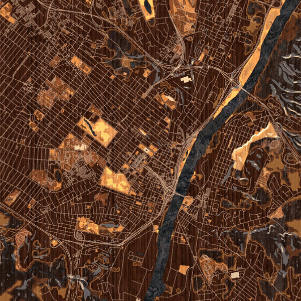 Albany - New York Map Print in Ember