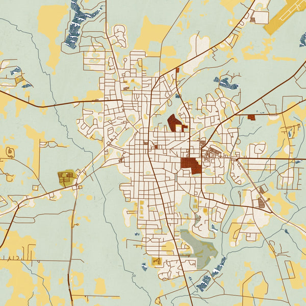 Americus Georgia Map Print in Woodblock Style Zoomed In Close Up Showing Details