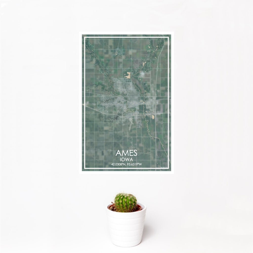 12x18 Ames Iowa Map Print Portrait Orientation in Afternoon Style With Small Cactus Plant in White Planter