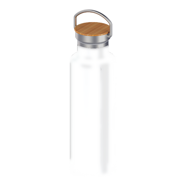 20oz Canteen Stainless Steel Artic Bottle