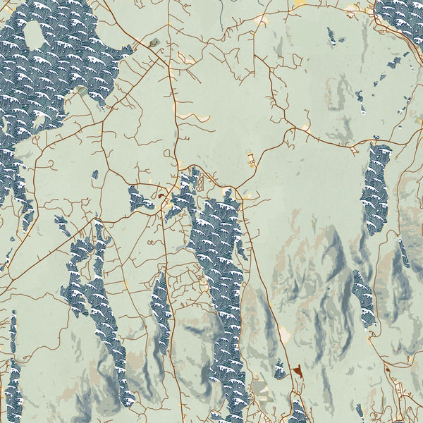 Bar Harbor - Maine Map Print in Woodblock