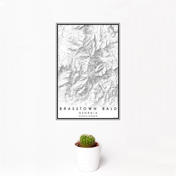 12x18 Brasstown Bald Georgia Map Print Portrait Orientation in Classic Style With Small Cactus Plant in White Planter
