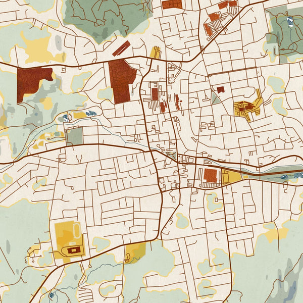 Bristol - Connecticut Map Print in Woodblock