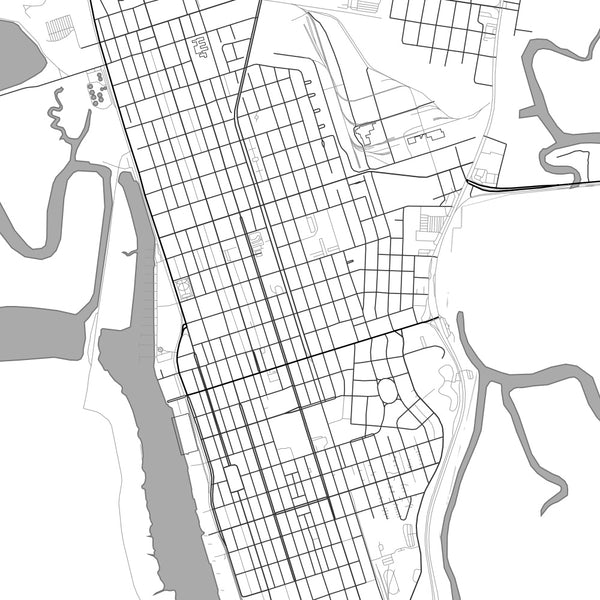 Brunswick Georgia Map Print in Classic Style Zoomed In Close Up Showing Details