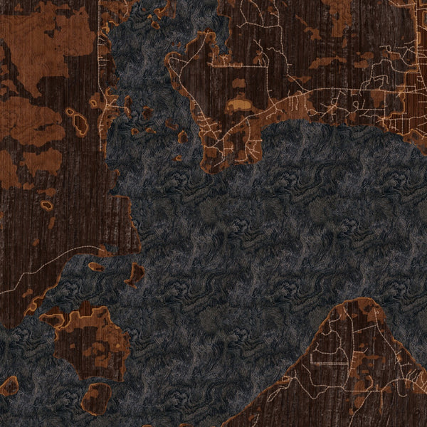 Caddo lake Louisiana Map Print in Ember Style Zoomed In Close Up Showing Details