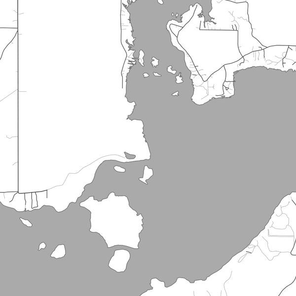 Caddo lake Texas Map Print in Classic Style Zoomed In Close Up Showing Details