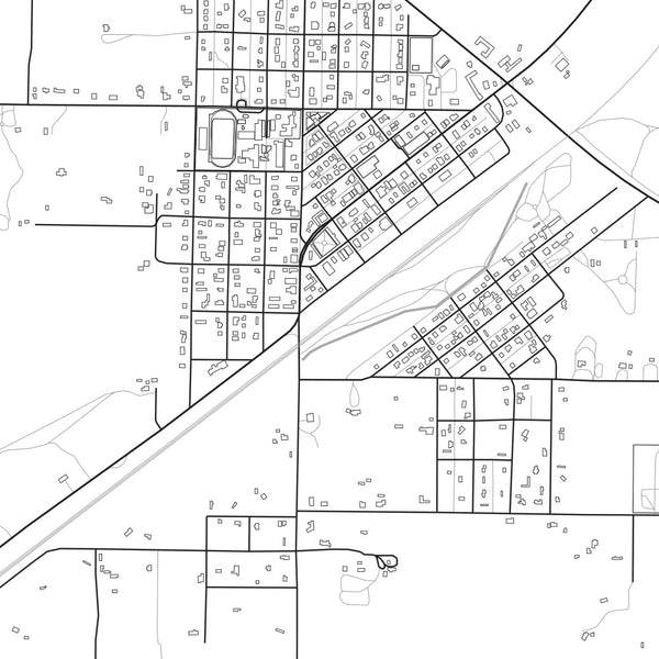 Carrizozo New Mexico Map Print in Classic Style Zoomed In Close Up Showing Details