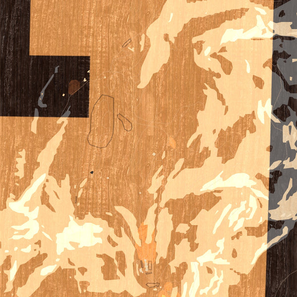 Cheaha Mountain Alabama Map Print in Ember Style Zoomed In Close Up Showing Details