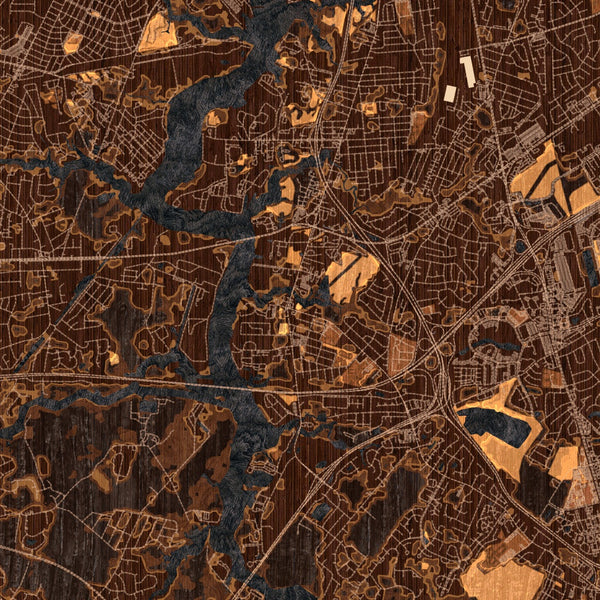 Chesapeake - Virginia Map Print in Ember