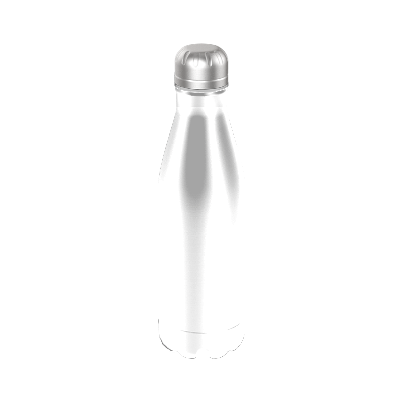 17oz Cola Stainless Steel Artic Bottle