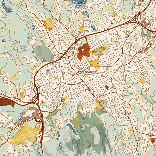 Danbury - Connecticut Map Print in Woodblock