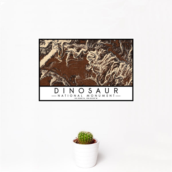 12x18 Dinosaur National Monument Map Print Landscape Orientation in Ember Style With Small Cactus Plant in White Planter