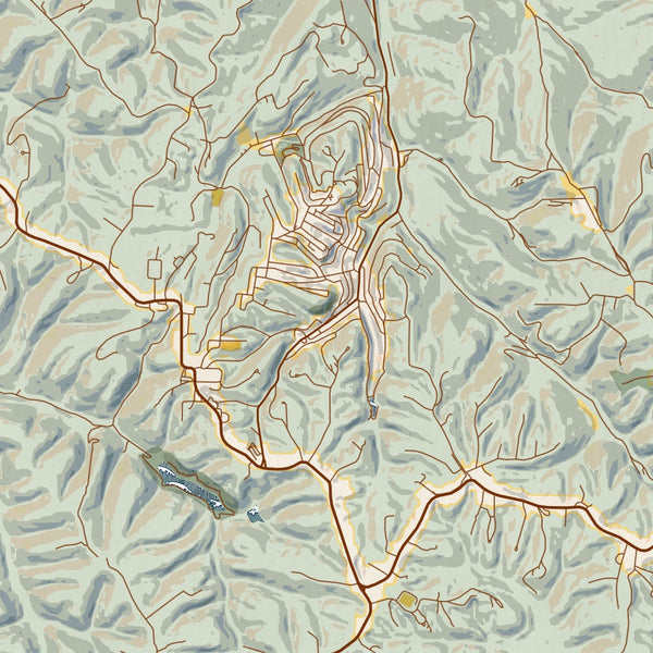 Eureka Springs - Arkansas Map Print in Woodblock