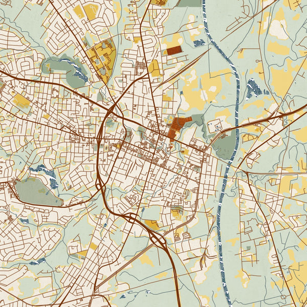 Fayetteville - North Carolina Map Print in Woodblock