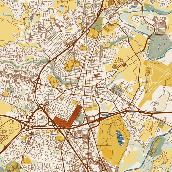 Frederick - Maryland Map Print in Woodblock