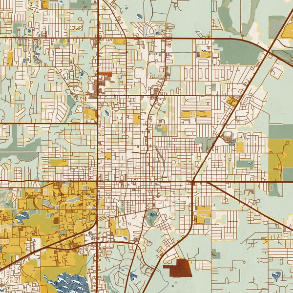 Gainesville - Florida Map Print in Woodblock