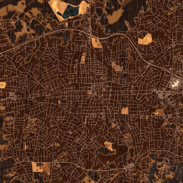 Gastonia - North Carolina Map Print in Ember