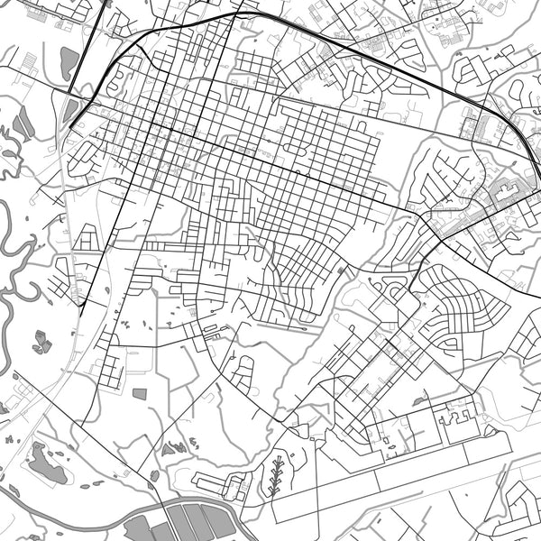 Goldsboro North Carolina Map Print in Classic Style Zoomed In Close Up Showing Details