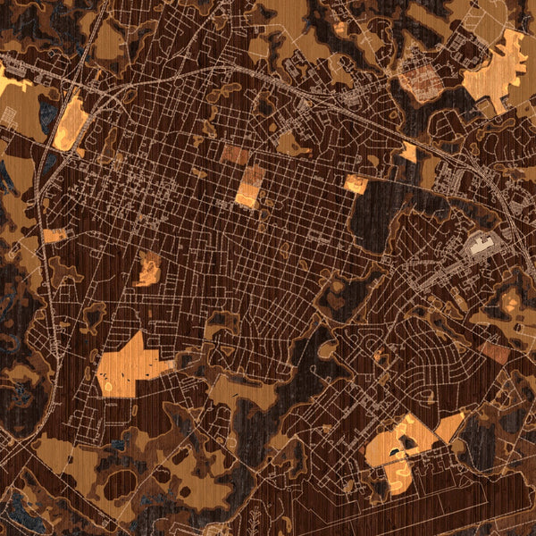 Goldsboro North Carolina Map Print in Ember Style Zoomed In Close Up Showing Details