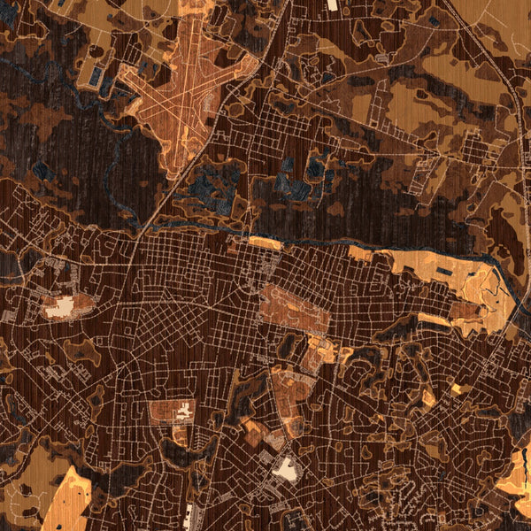 Greenville - North Carolina Map Print in Ember
