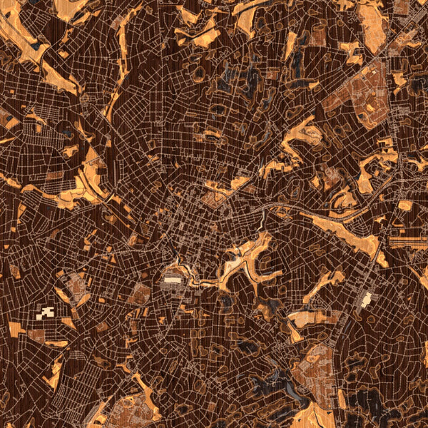 Greenville - South Carolina Map Print in Ember