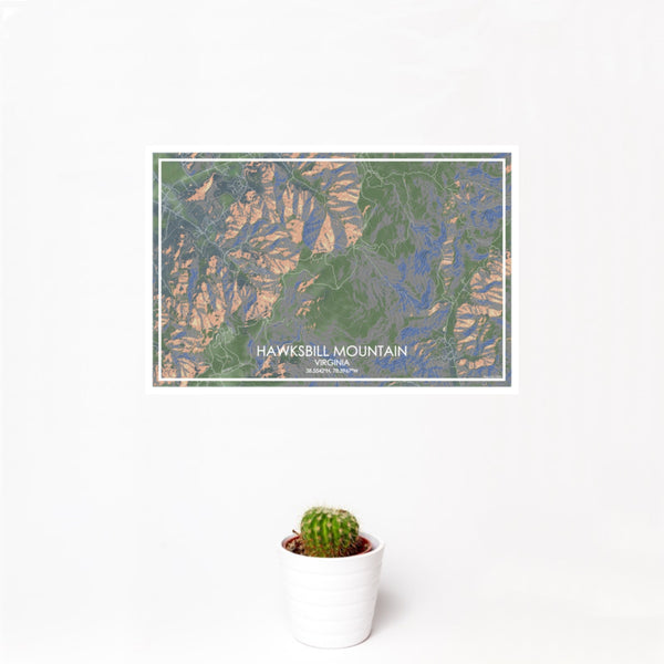 12x18 Hawksbill Mountain Virginia Map Print Landscape Orientation in Afternoon Style With Small Cactus Plant in White Planter