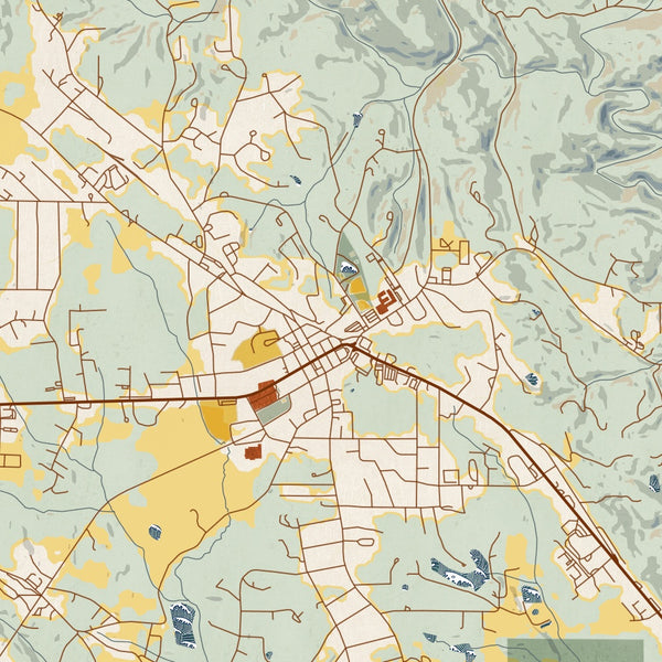 Jasper Georgia Map Print in Woodblock Style Zoomed In Close Up Showing Details