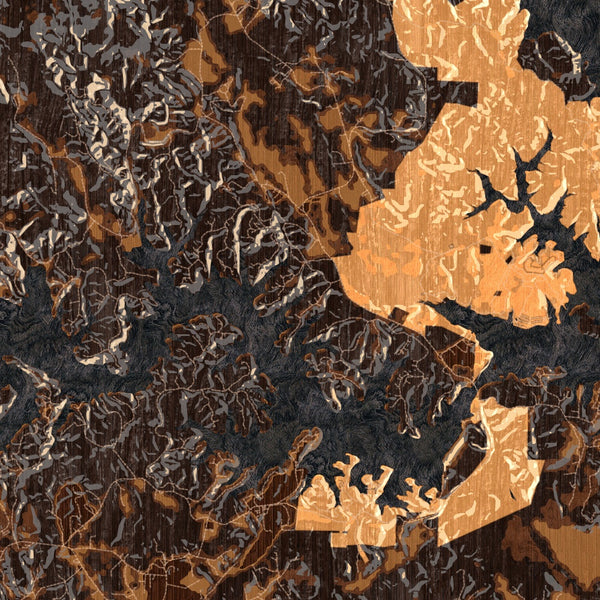 Lake James North Carolina Map Print in Ember Style Zoomed In Close Up Showing Details