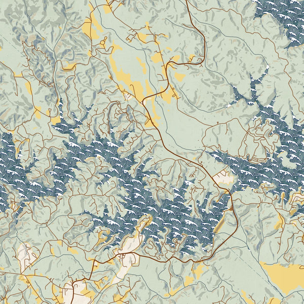 Lake James North Carolina Map Print in Woodblock Style Zoomed In Close Up Showing Details
