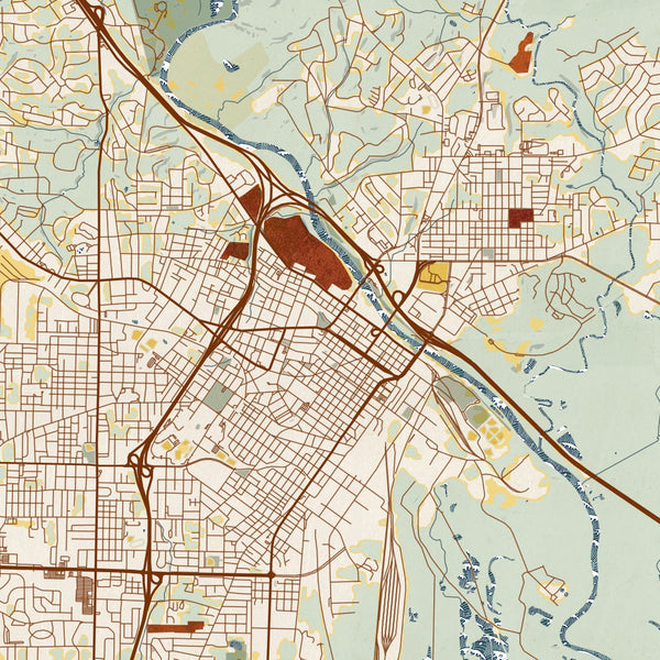 Macon - Georgia Map Print in Woodblock