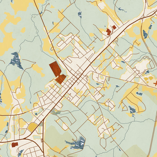 Madison - Georgia Map Print in Woodblock