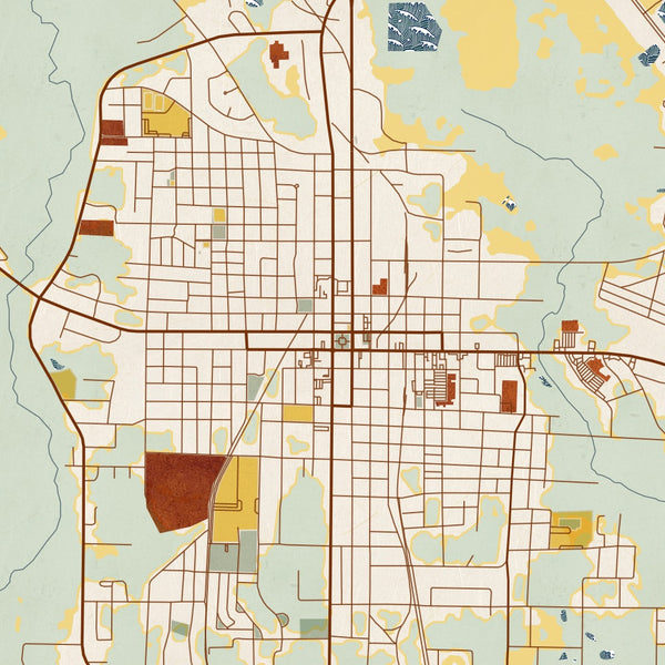 Moultrie Georgia Map Print in Woodblock Style Zoomed In Close Up Showing Details