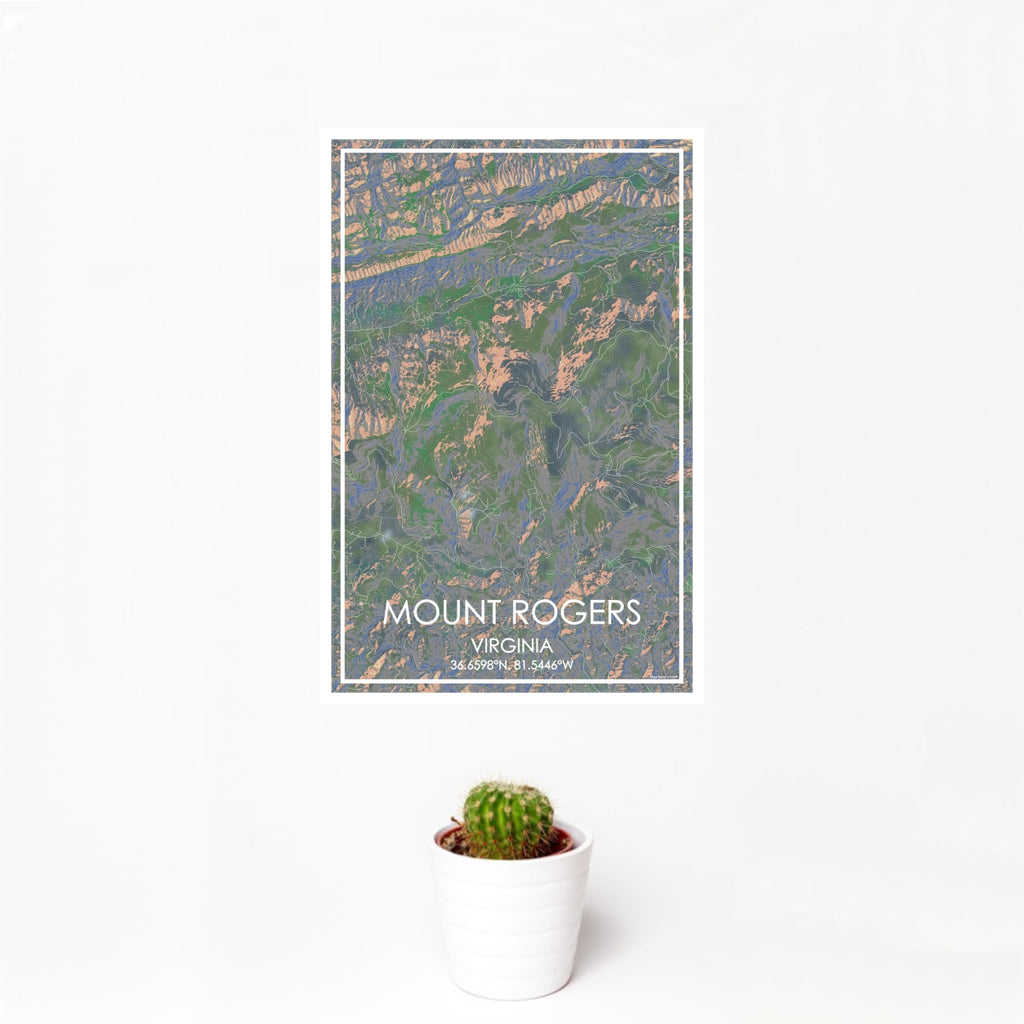 12x18 Mount Rogers Virginia Map Print Portrait Orientation in Afternoon Style With Small Cactus Plant in White Planter