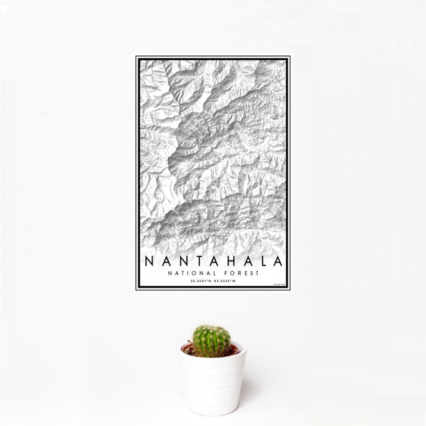 12x18 Nantahala National Forest Map Print Portrait Orientation in Classic Style With Small Cactus Plant in White Planter