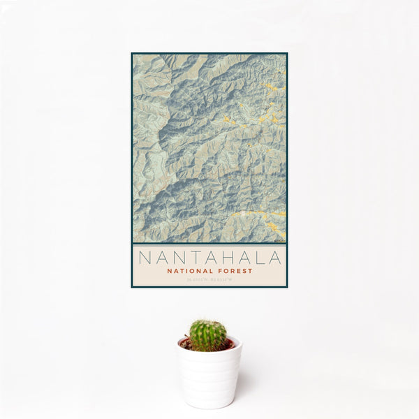 12x18 Nantahala National Forest Map Print Portrait Orientation in Woodblock Style With Small Cactus Plant in White Planter