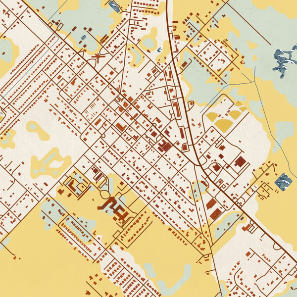 Needville Texas Map Print in Woodblock Style Zoomed In Close Up Showing Details