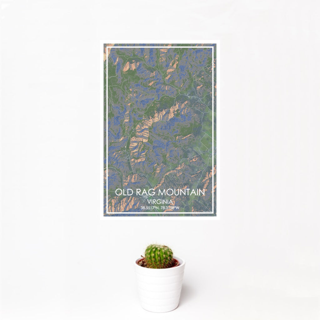 12x18 Old Rag Mountain Virginia Map Print Portrait Orientation in Afternoon Style With Small Cactus Plant in White Planter