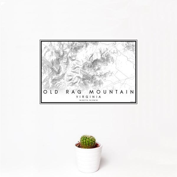 12x18 Old Rag Mountain Virginia Map Print Landscape Orientation in Classic Style With Small Cactus Plant in White Planter