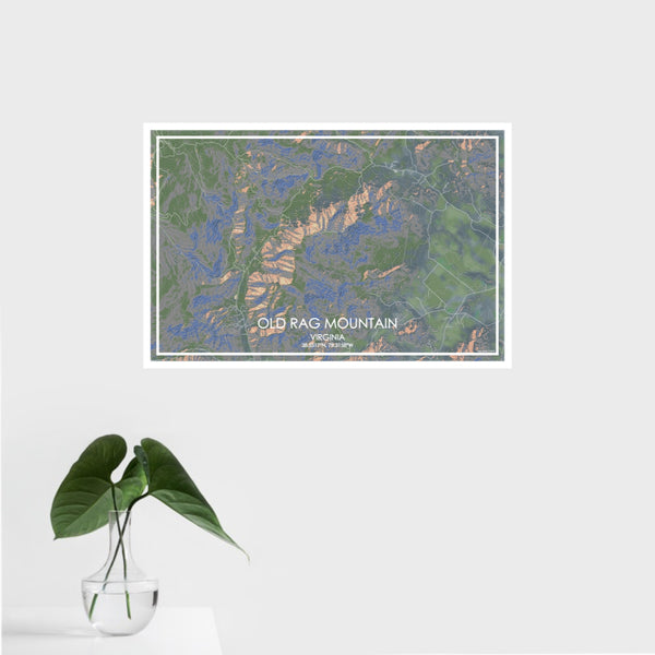 16x24 Old Rag Mountain Virginia Map Print Landscape Orientation in Afternoon Style With Tropical Plant Leaves in Water