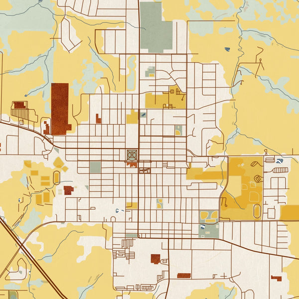 Pella Iowa Map Print in Woodblock Style Zoomed In Close Up Showing Details