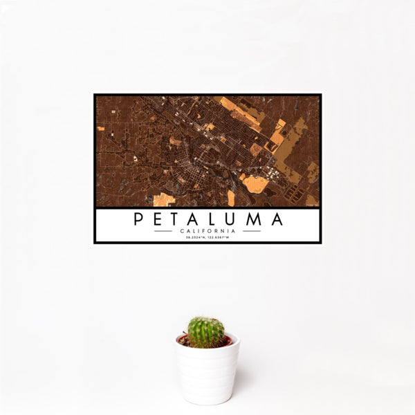 12x18 Petaluma California Map Print Landscape Orientation in Ember Style With Small Cactus Plant in White Planter