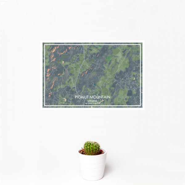 12x18 Pignut Mountain Virginia Map Print Landscape Orientation in Afternoon Style With Small Cactus Plant in White Planter