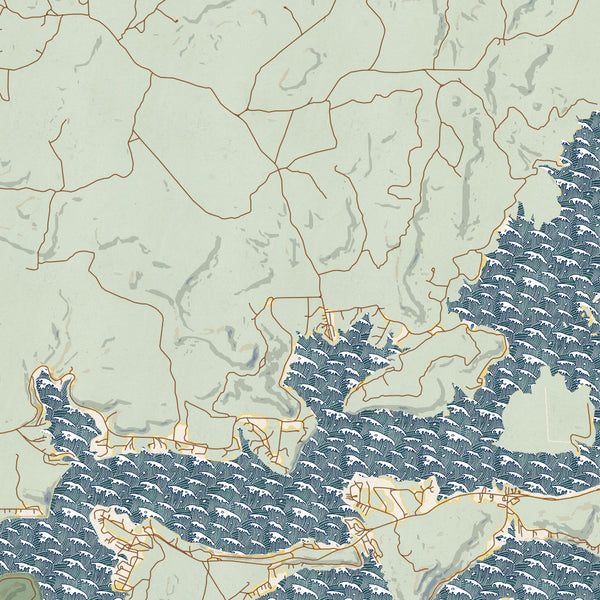 Possum Kingdom Lake Texas Map Print in Woodblock Style Zoomed In Close Up Showing Details