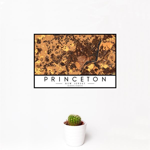 Princeton - New Jersey Map Print in Ember
