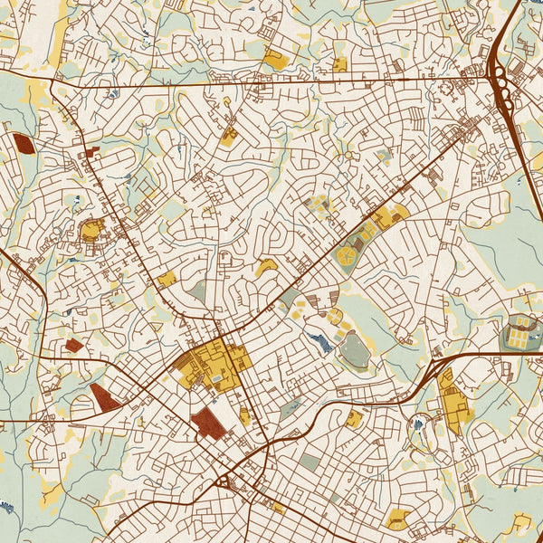 Rock Hill - South Carolina Map Print in Woodblock