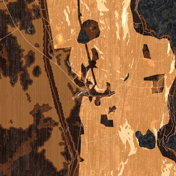 Salisbury Vermont Map Print in Ember Style Zoomed In Close Up Showing Details