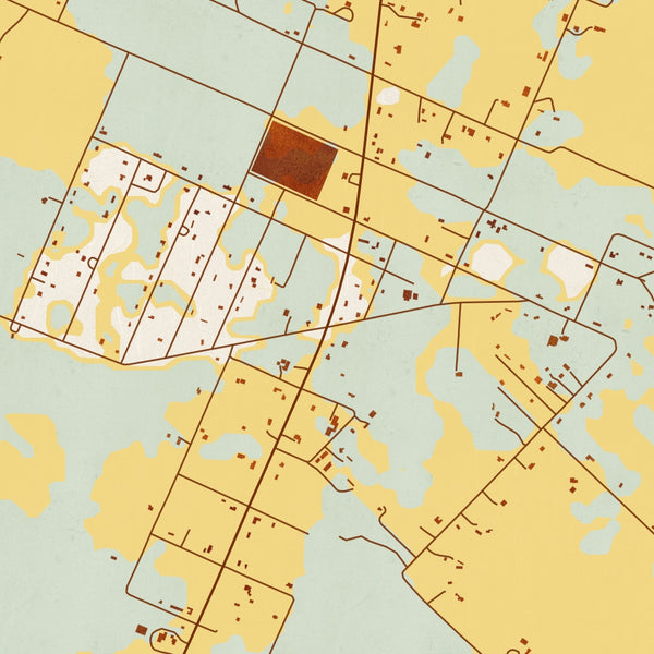 San Felipe Texas Map Print in Woodblock Style Zoomed In Close Up Showing Details